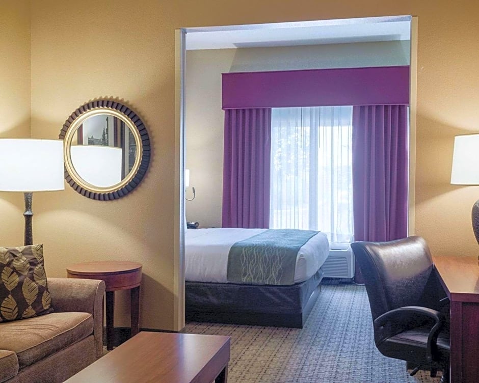 Photo 1 of 5 of King Suite - Accessible/Non-Smoking