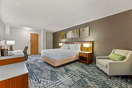 1 Bedroom Junior Suite, 1 King, Sofa bed, Courtyard view (Hearing Accessible)