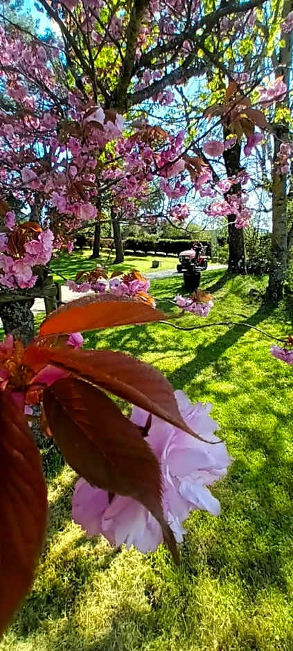 VVF Haute Loire Saint-Julien-Chapteuil