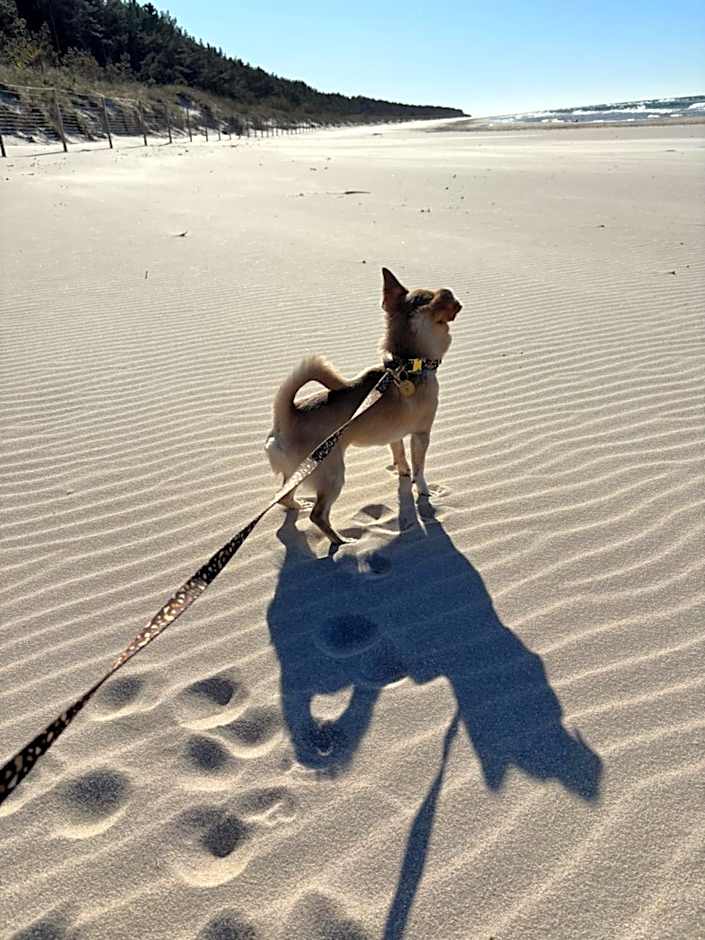 Centrum Wypoczynku Victoria Spa