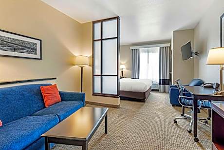 King Suite - Accessible/Non-Smoking