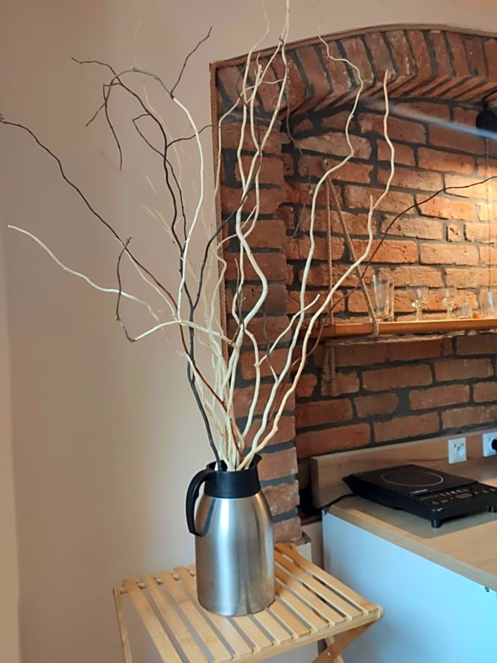 Apartamenty i pokoje gościnne "Wacuś"