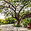 Soul Spring Sanctuary