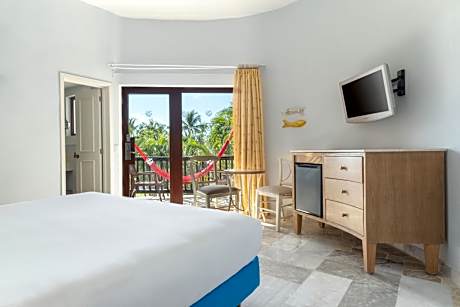 Premium Pure Wellness Single Use