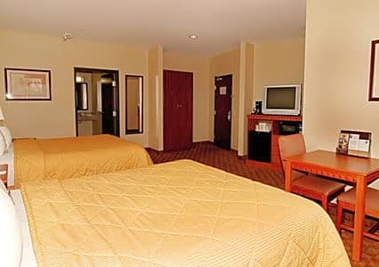 Comfort Inn and Suites - Craig Road