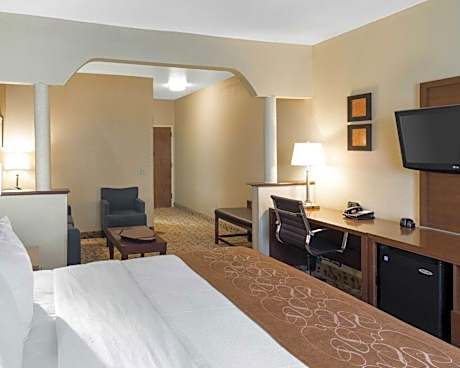 1 King Bed, Suite, Nonsmoking