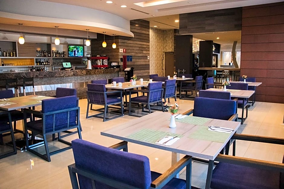 Hilton Garden Inn Leon Poliforum