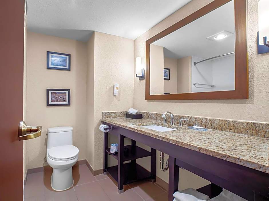 Comfort Inn & Suites Allen Park - Dearborn