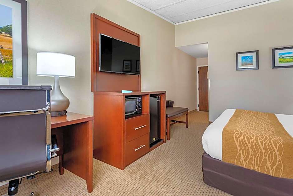 Comfort Inn Lancaster County North