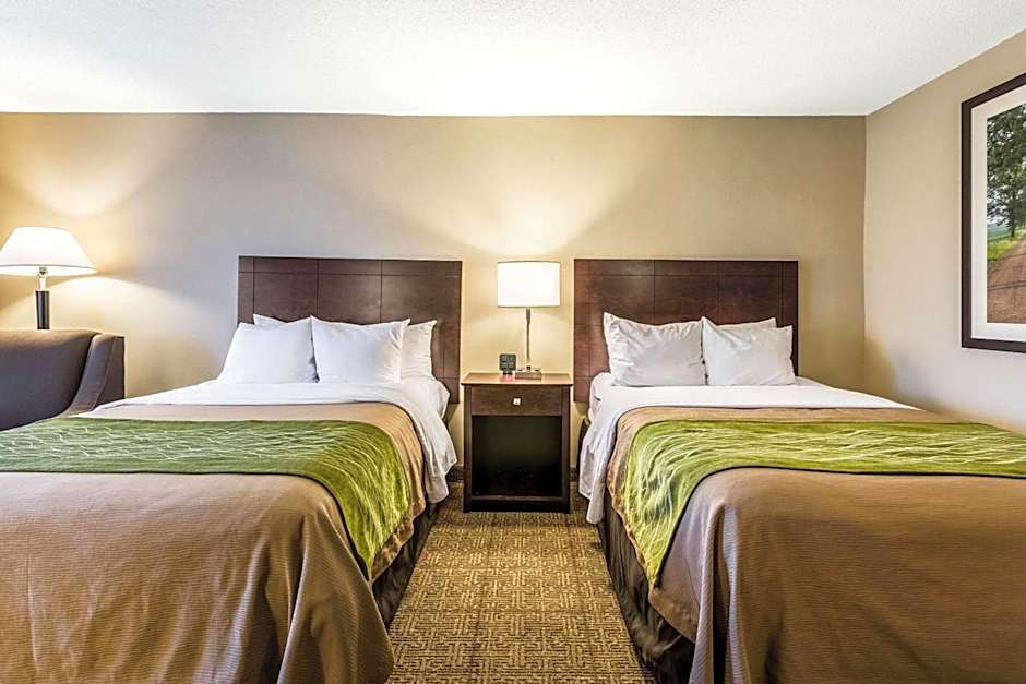 Comfort Inn Lansing West