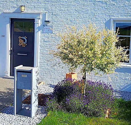 King Room with Garden View