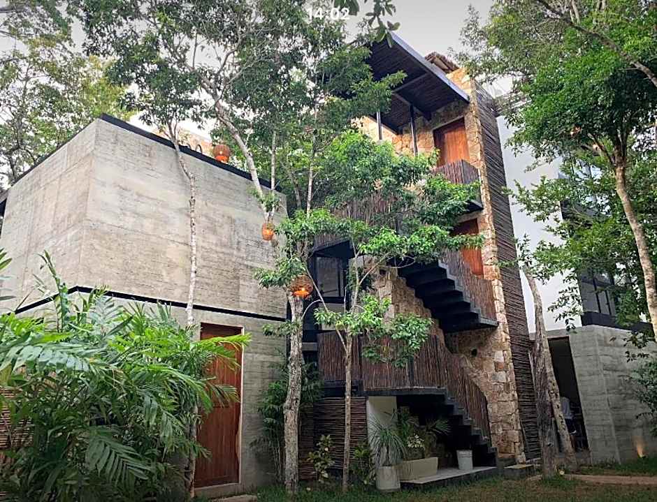 La Casa de María 11:11