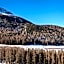 Schloss Hotel & Spa Pontresina