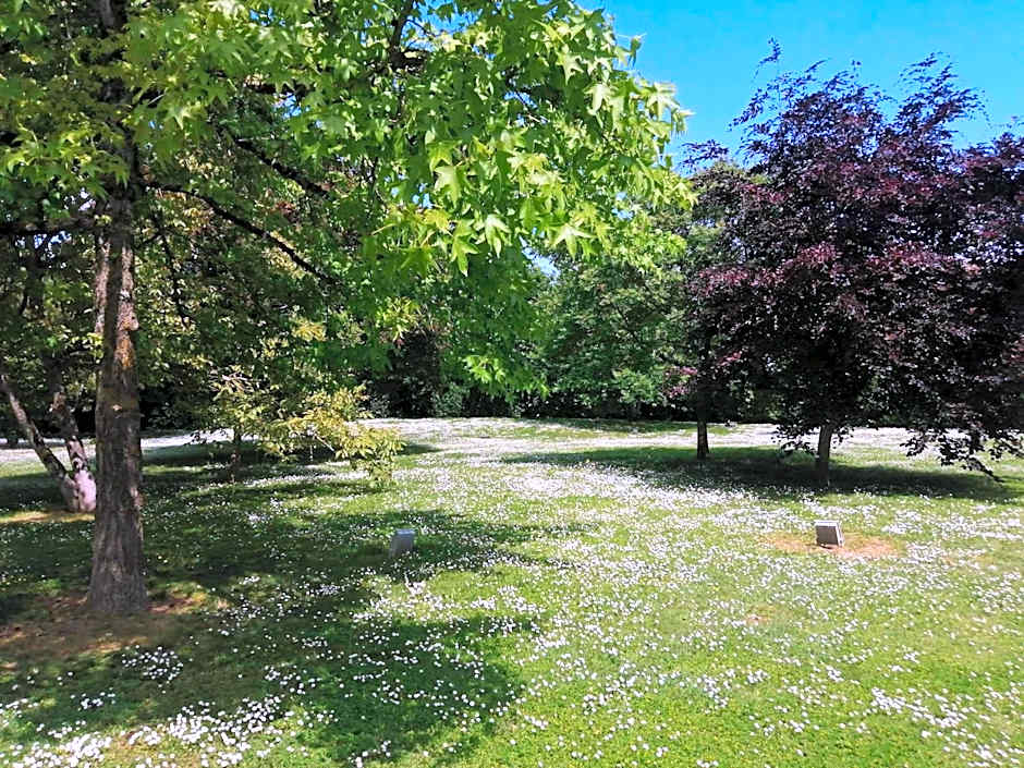 ibis budget Tours Sud