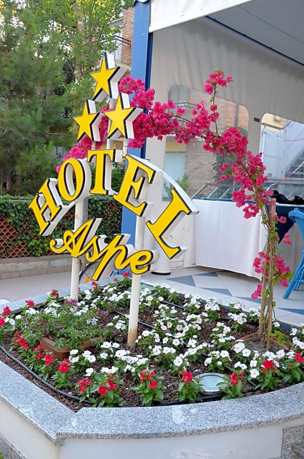 Hotel Aspe