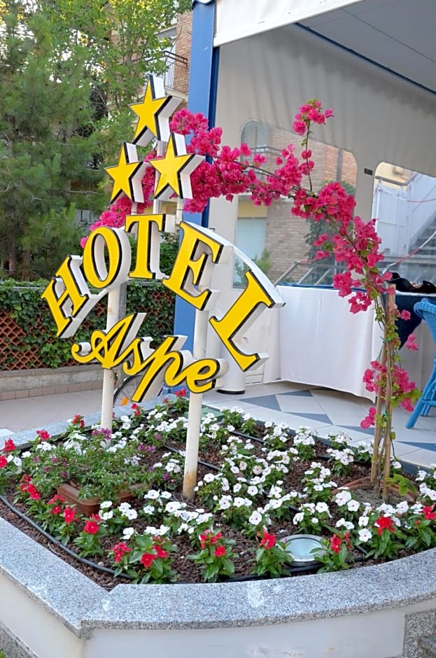 Hotel Villa Aspe