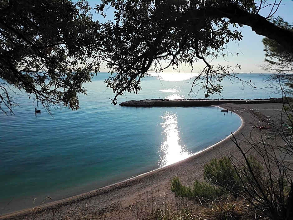 Affittacamere Villa Zelinda