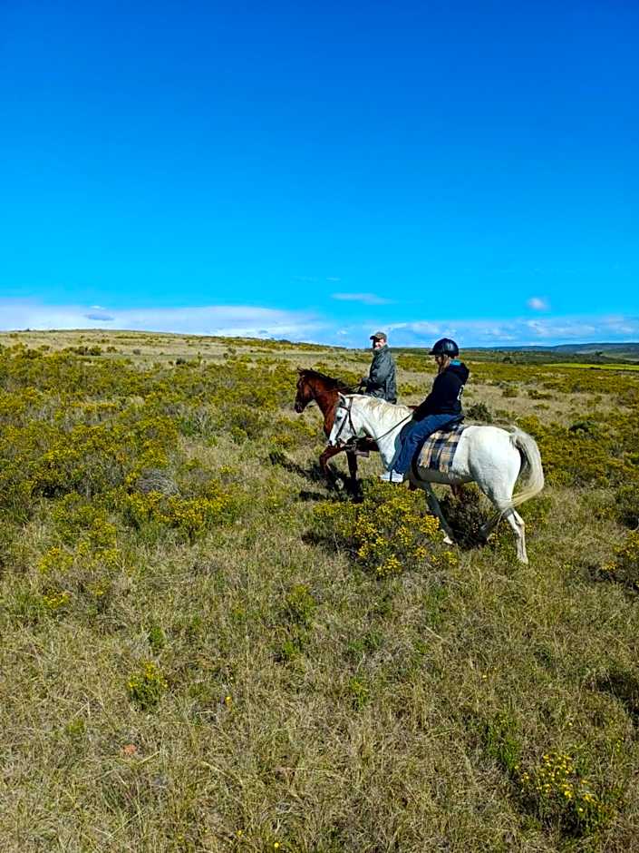 Garden Route Safari Camp