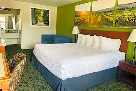 1 King Bed Mobility Accessible Room Non-Smoking