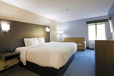 1 King Bed Efficiency Suite Nonsmoking