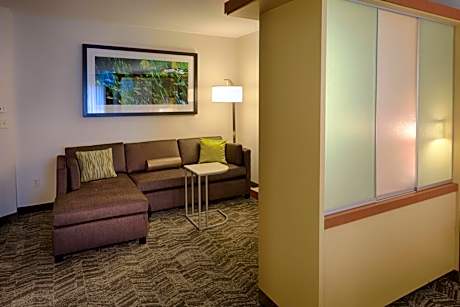 One-Bedroom King Suite with Sofa Bed