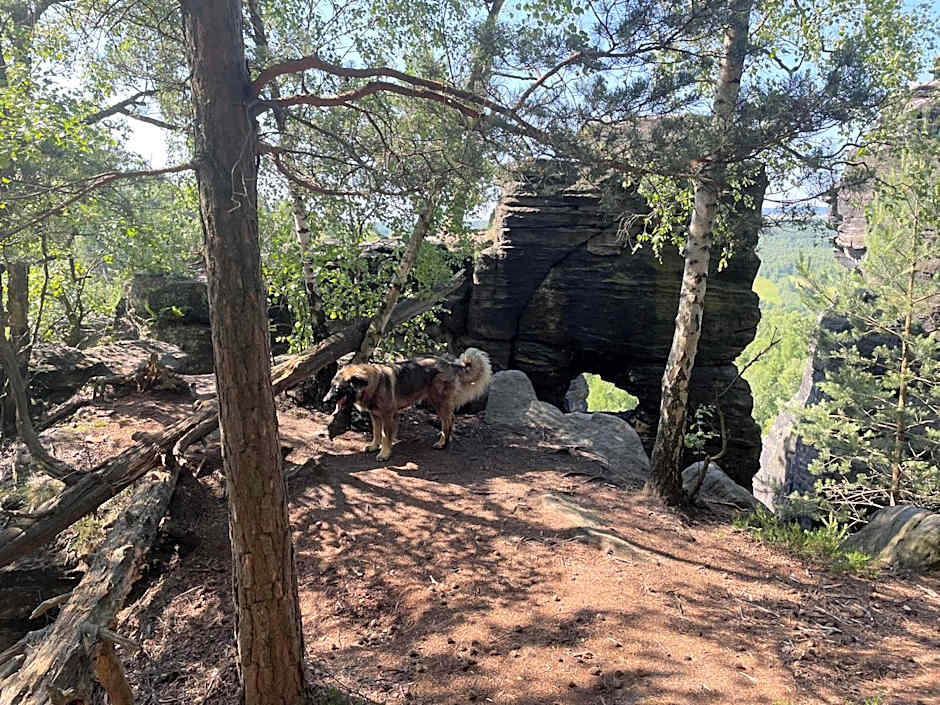 Fox House Tisá / Rájec