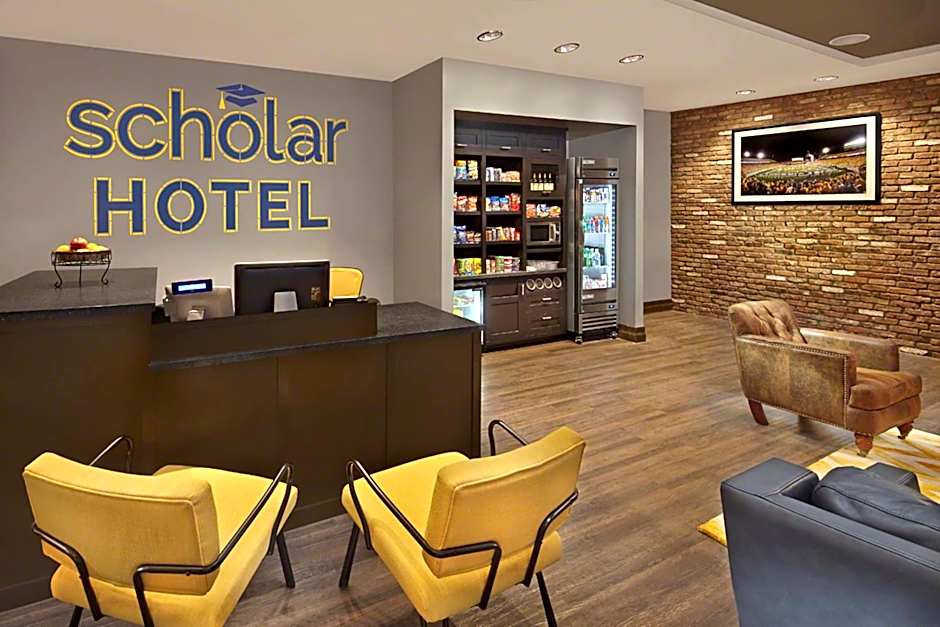 Scholar Morgantown, Tapestry Collection by Hilton