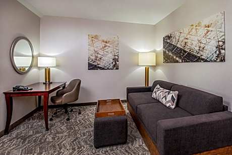 King Suite with Roll-In Shower and Trundle Sofa - Mobility Access/Hearing Accessible