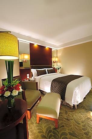 Superior Single Room