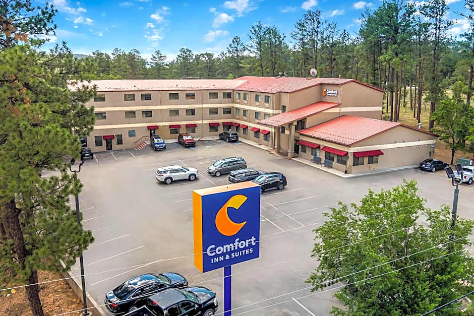 Comfort Inn & Suites Midtown