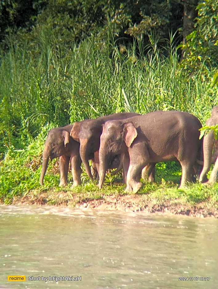 Borneo Jungle Adventure