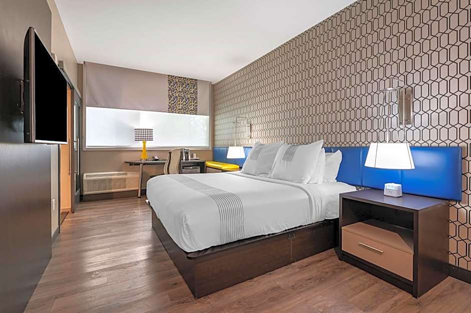 GLo Best Western Lexington