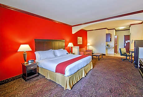 King Suite with Sofa Bed