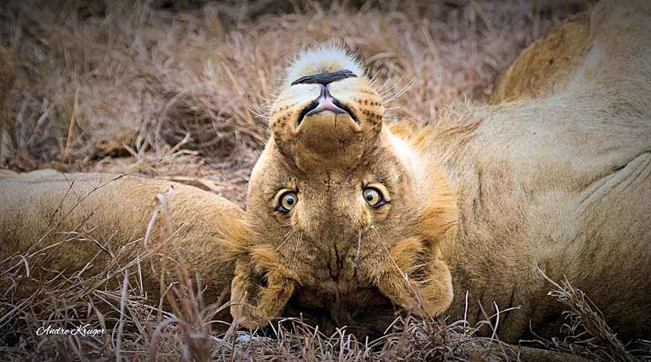 Klaserie Drift Misava