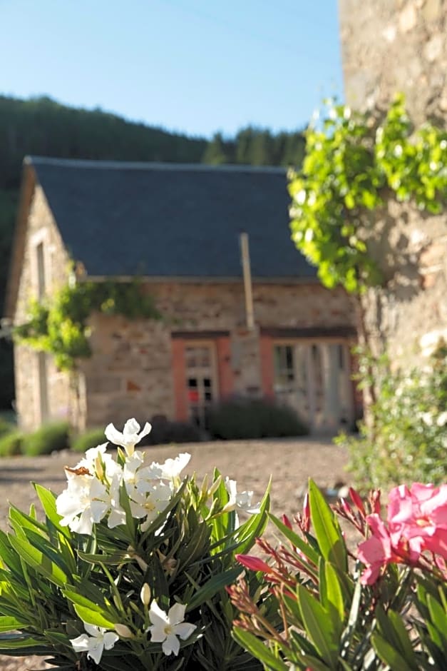 Moulin des Borderies