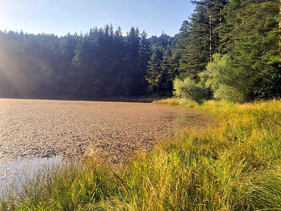 RILA 6ATO Hotel & Restaurant