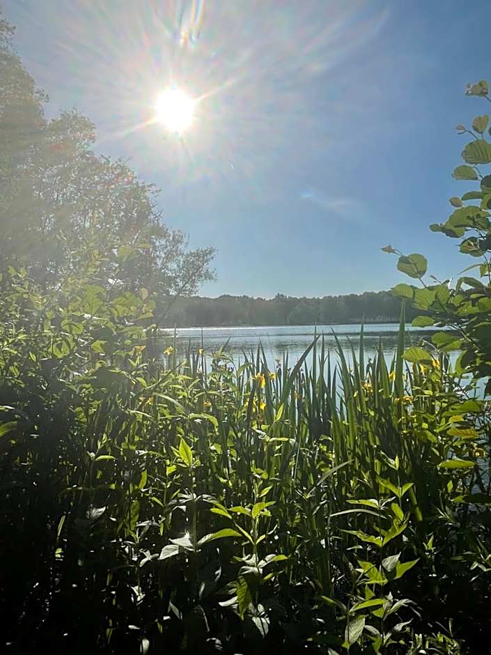 Bungalow AMNIS by Sonnevijver Residences