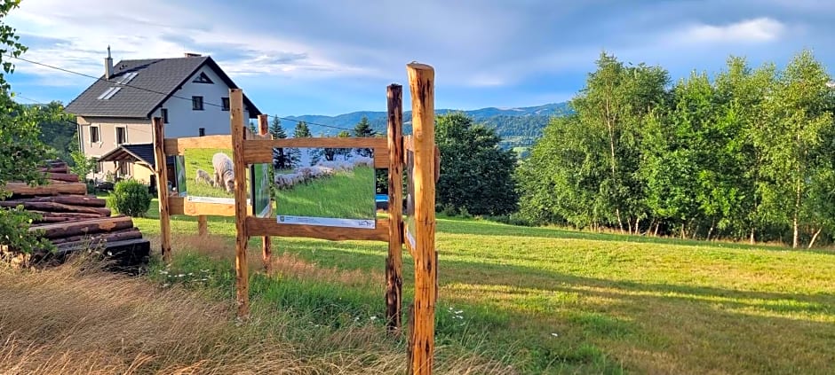 Swoboda na szczycie góry