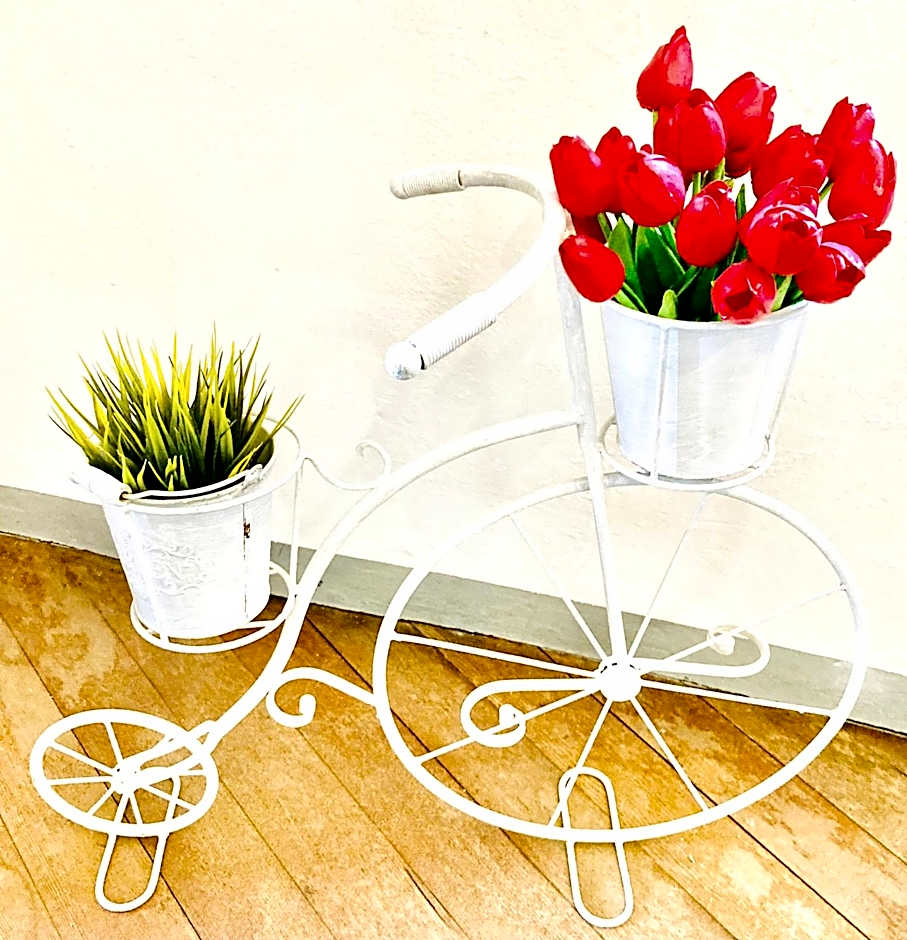 Casa Angiolina - Holidays