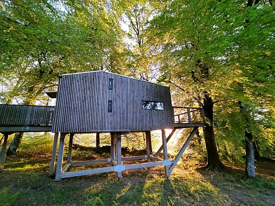 L'étape en forêt