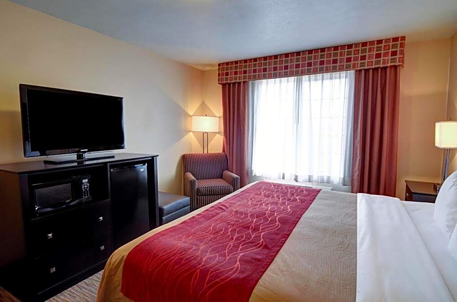 Comfort Inn & Suites Amarillo West Near Medical Center