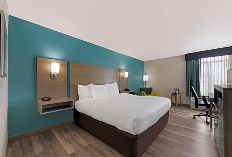 1 King Bed