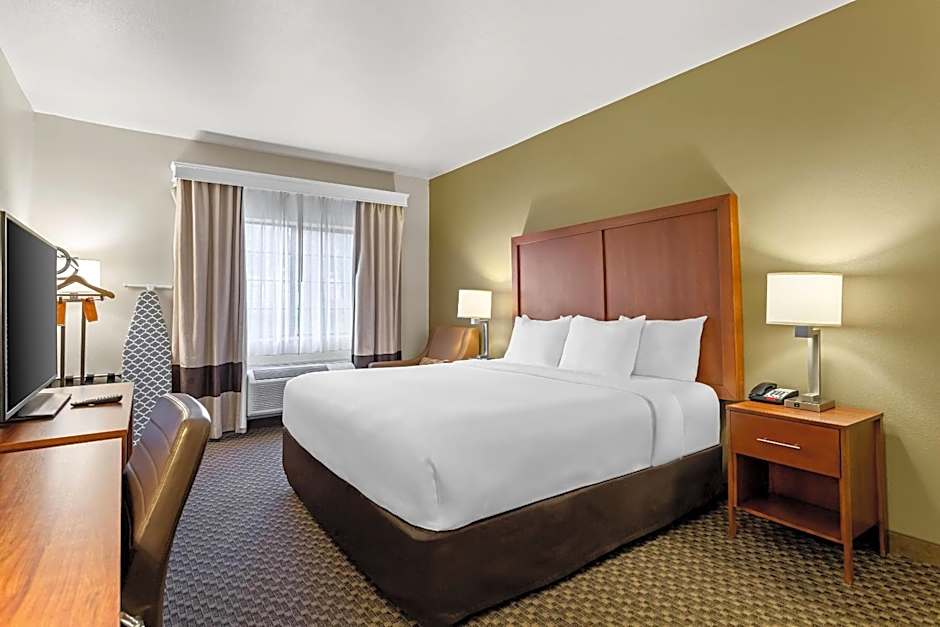 Comfort Inn & Suites Midtown