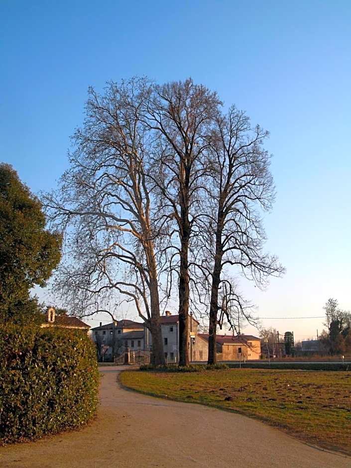 B&B Giardino Jappelli (Villa Ca' Minotto)