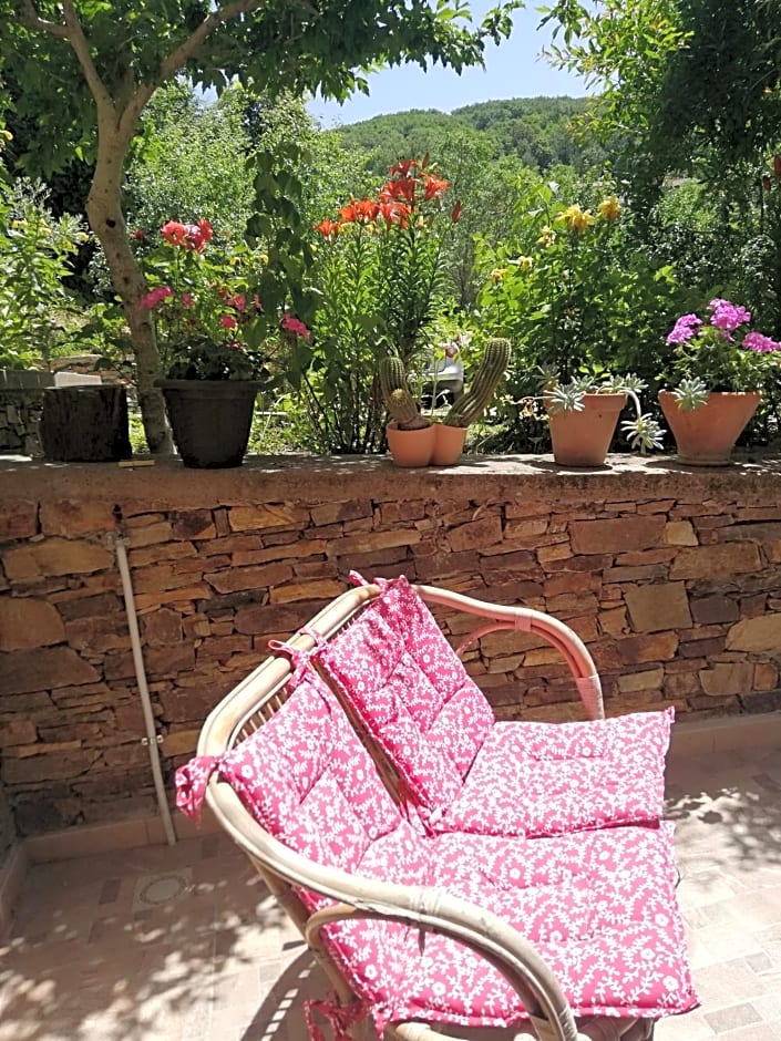 L'Agrifoglio B&B con giardino