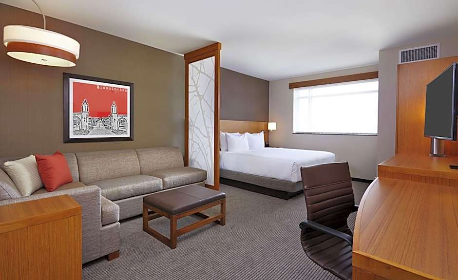 Photo 1 of 7 of 1 King Bed with Sofabed, Accessible, Bathtub