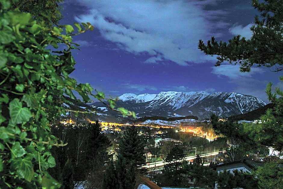 Hotel Payerbacherhof