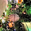Il Girasole High Quality Inn