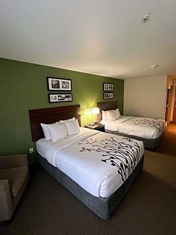 2 Queen Beds, Nonsmoking