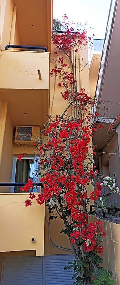 Drosia Hotel